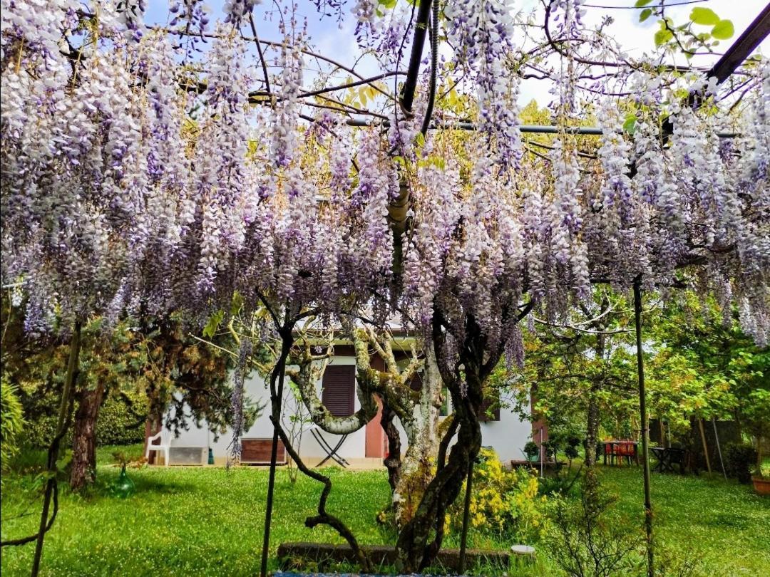 Casetta In Collina Sezze Luaran gambar